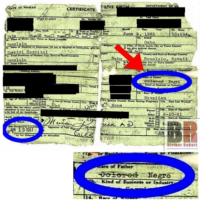Real Hawaiian Long-Form-Birth-Certificate Full Size